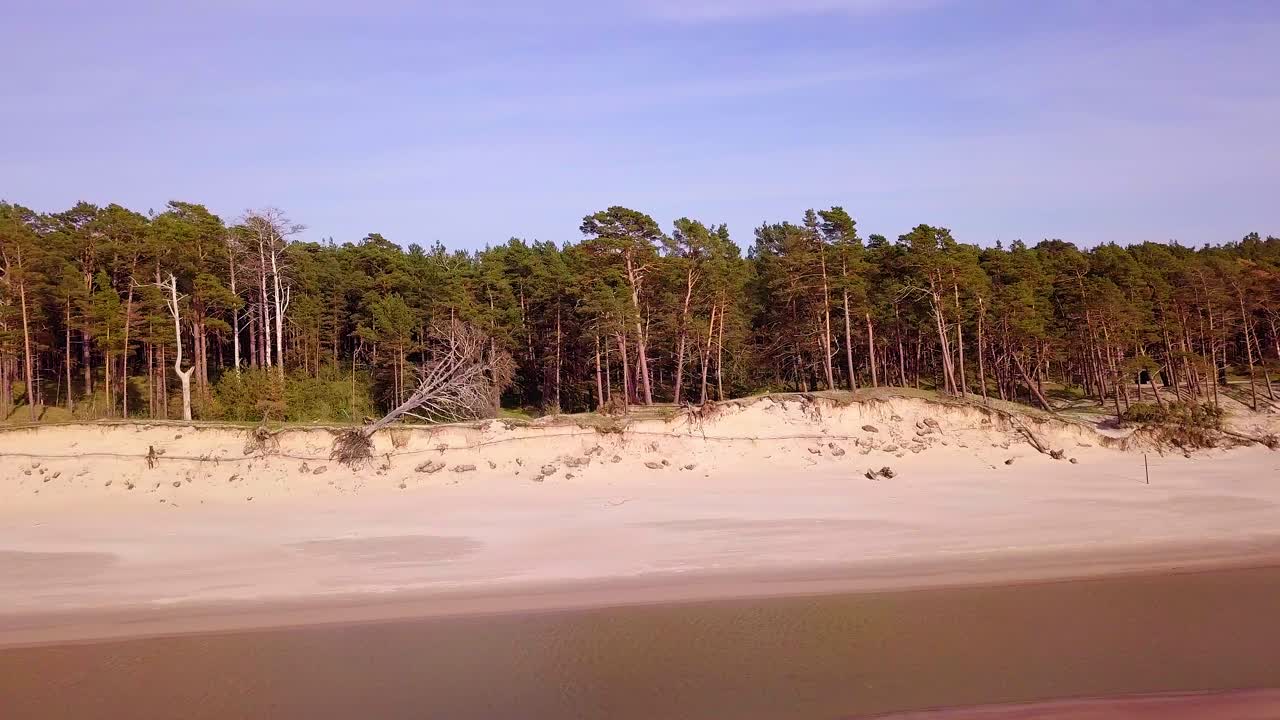Luchtfoto van de Baltische Zeekust op een zonnige dag, steile zeeduinen beschadigd door golven, gebroken dennenbomen, kusterosie, klimaatveranderingen, groothoek drone-dollyshot naar rechts bewegend