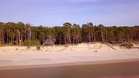 vista aérea de la costa del mar báltico en un día soleado, dunas empinadas a la orilla del mar dañadas por las olas, pinos rotos, erosión costera, cambios climáticos, tiro de muñeca de drones de gran angular moviéndose a la derecha