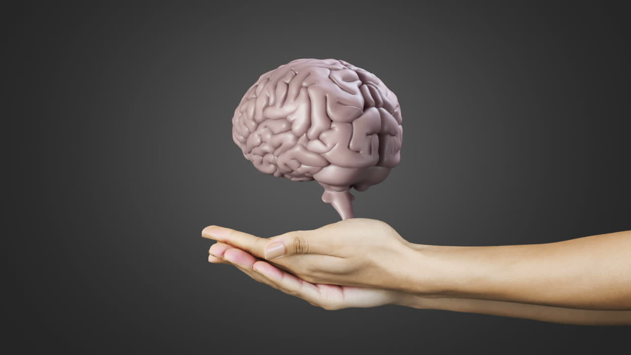 mano que presenta un cerebro giratorio