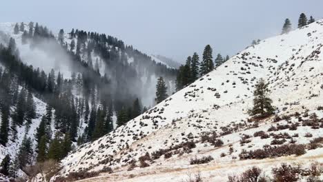 deciduous trees over misty forest mountains in boise national forest, idaho usa