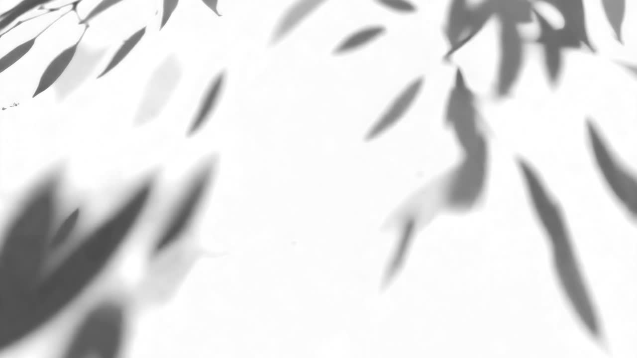Moving leaves shadow animated overlay, transparent 4K video, alpha channel, ProRes 4444