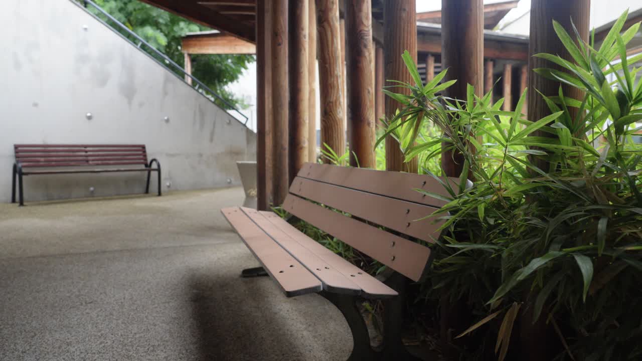 느리게 풀 아웃 은 녹색 잎자루로 둘러싸인 나무 벤치에서 휴식을 취합니다.