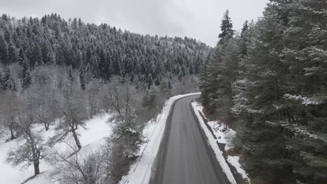 a tranquil countryside road cutting through a snowy landscape, with trees lining the path in a peaceful winter scene