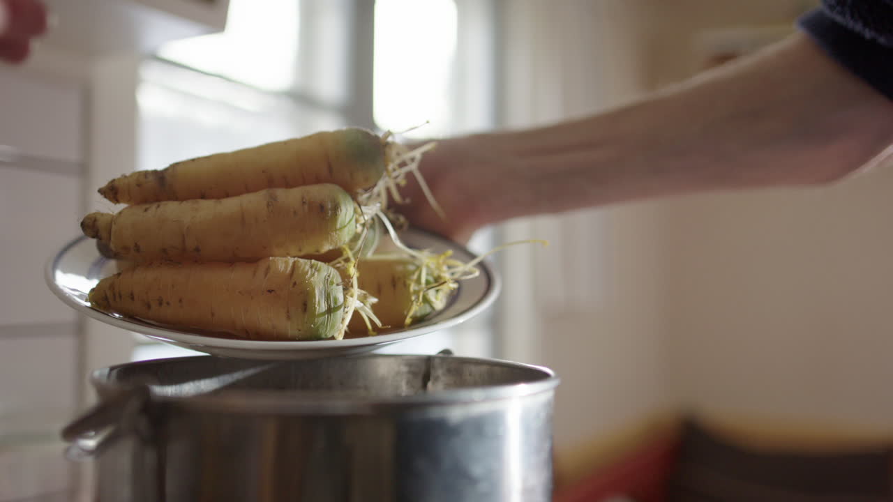 Plate full of expired or over the date vegetables recycled into compost bin