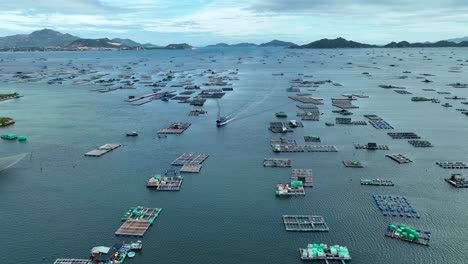 Drone-view-fishing-boat-moving-between-lots-of-fish-farm-and-lobster-cage-on-Cam-Ranh-sea---Khanh-Hoa-province,-central-Vietnam