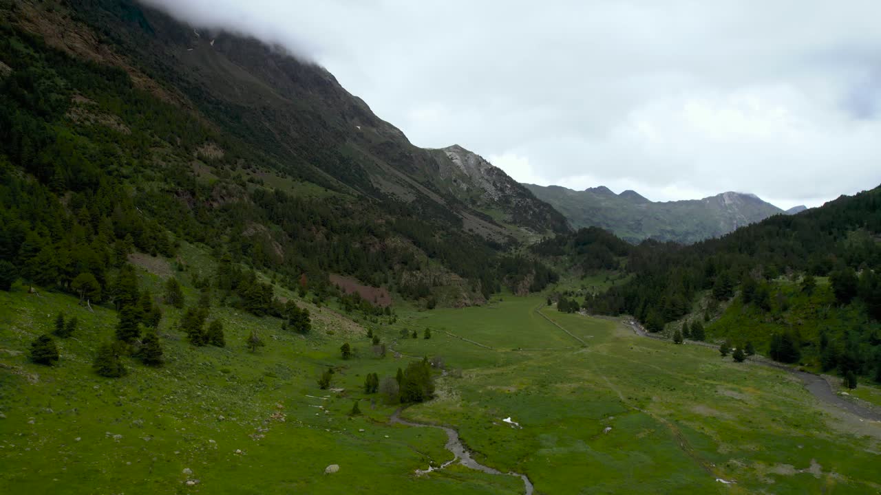 Fiume che scorre attraverso una valle boscosa in montagna