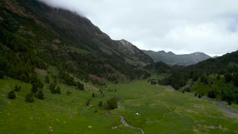 Fluss-Fließt-Durch-Waldtal-In-Den-Bergen