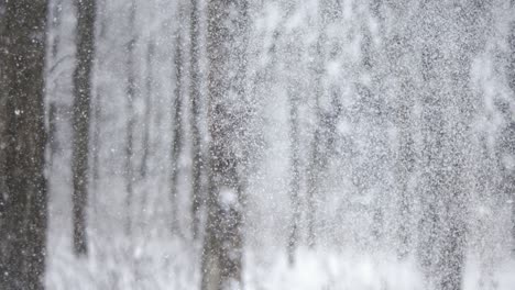 paisaje de invierno durante las nevadas. fondo abstracto de navidad de invierno en súper cámara lenta.