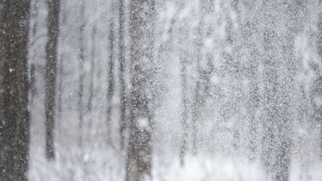 winter landscape during snowfall. winter christmas abstract background on super slow motion.