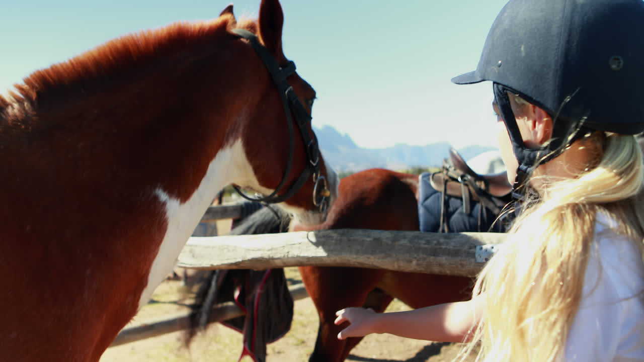 농장에서 말을 만지는 소녀 4k