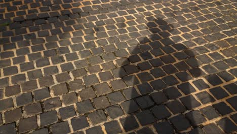 A-man-casting-his-own-shadow-while-standing-on-a-brick-street-pavement-as-other-people-pass-by-casting-their-own-shadows-as-well