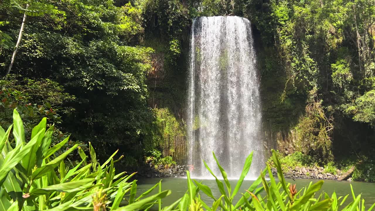 Stunning View Of Millaa Millaa Falls, Atherton Tablelands Region, Queensland, Australia