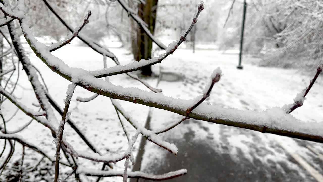 The first snow in close-up