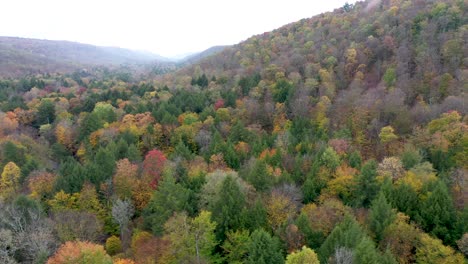autumn mountains aerial 4k video