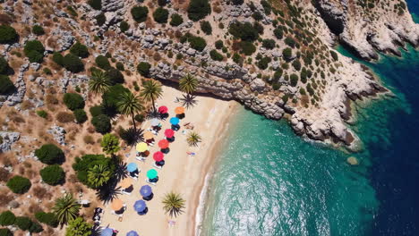 colorful beach with palm trees and umbrellas