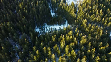 aerial top-down orbit over snowy mountain forest