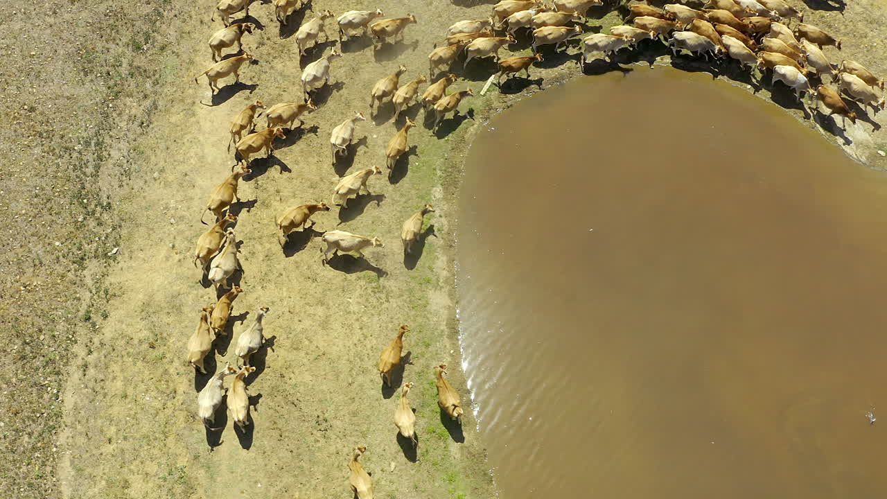 Where there's water there's life