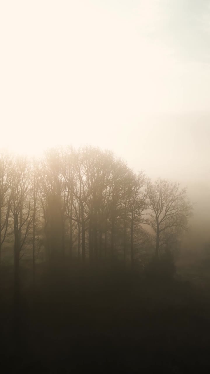 안개가 가득한 해가 뜨는 풍경