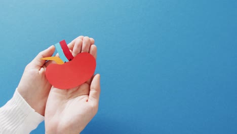 video of hands holding kidney on blue background with copy space