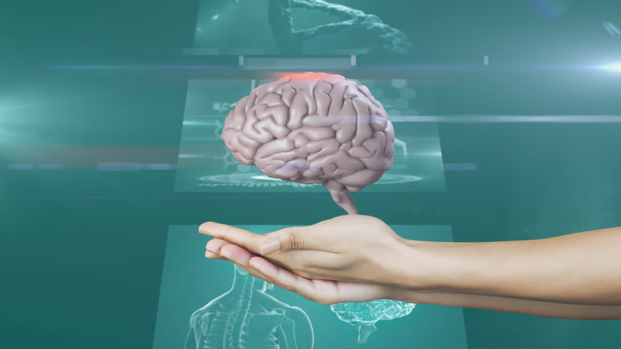 animación de cerebro humano en 3d girando sobre las manos con pantallas en el fondo.