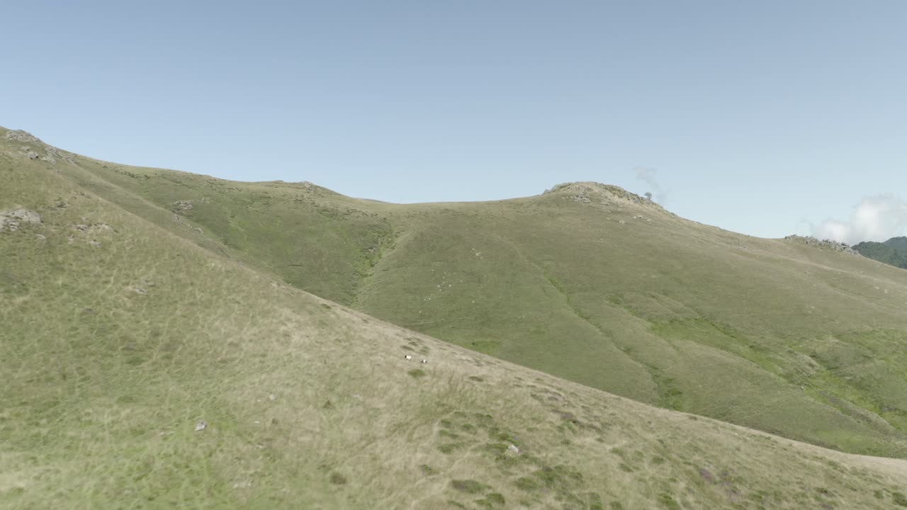 Aerial view descending over green mountain terrain and meadows, Col de Sourzay, Lecumberry, Pyrenees, France