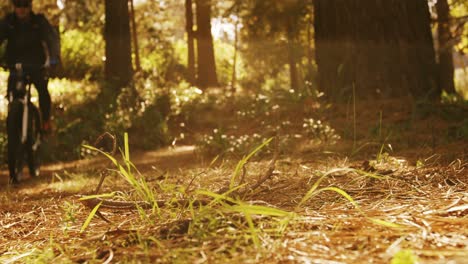 Männlicher-Mountainbiker-Fährt-Im-Wald