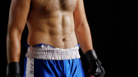 boxer standing against black background