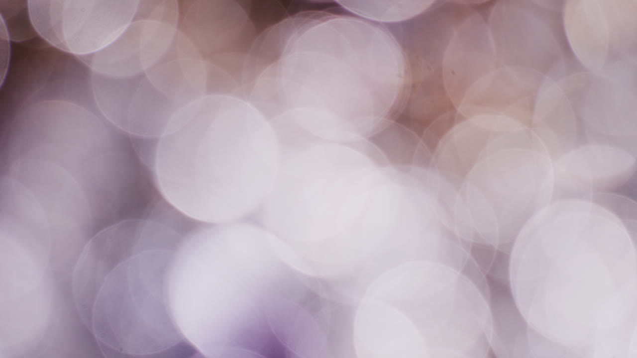 fondo de joyas borrosas