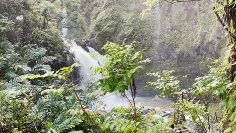 Eine-Stationäre-Ansicht-Eines-Hawaiianischen-Dschungelwasserfalls-In-Einem-üppigen-Wald