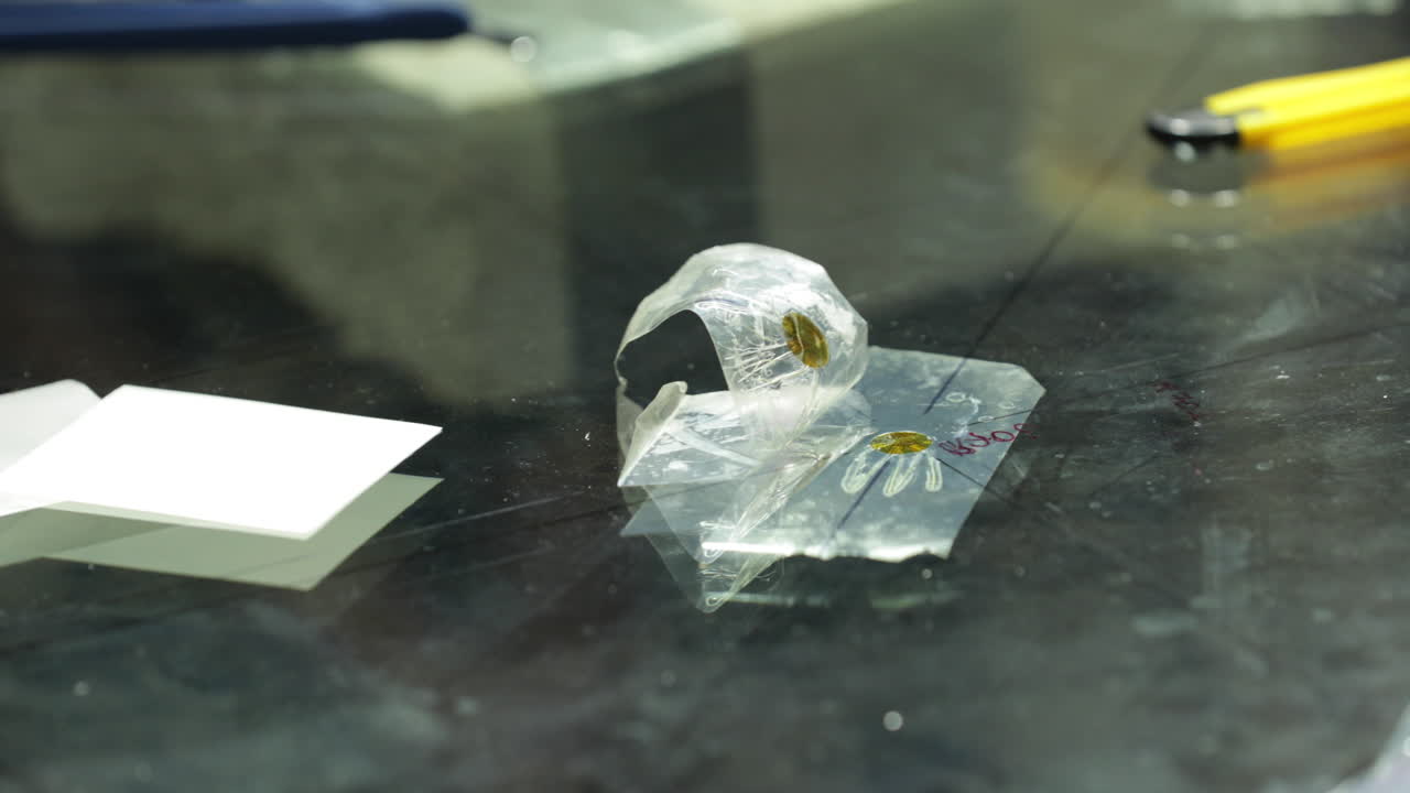 Pellicole sensore di pressione sparse sul tavolo dopo l'uso per un esperimento
