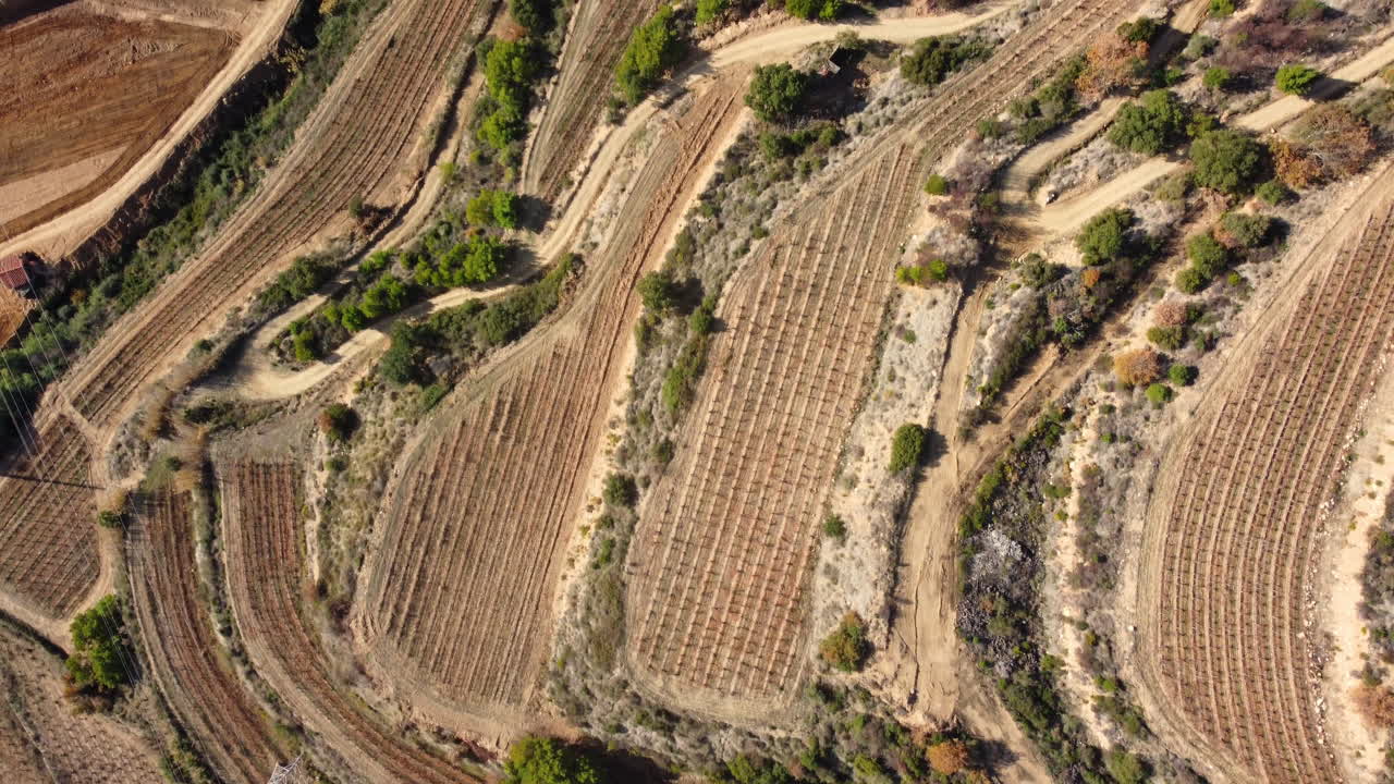 Aerial View of Terraced Vineyard