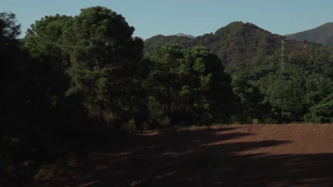 Aerial-reveal-of-forest-and-mountains-view