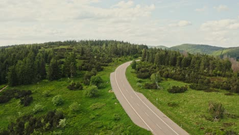 mountain road through forest