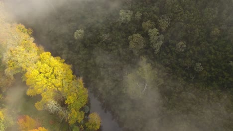 Morning-fog-over-mountain-foothills