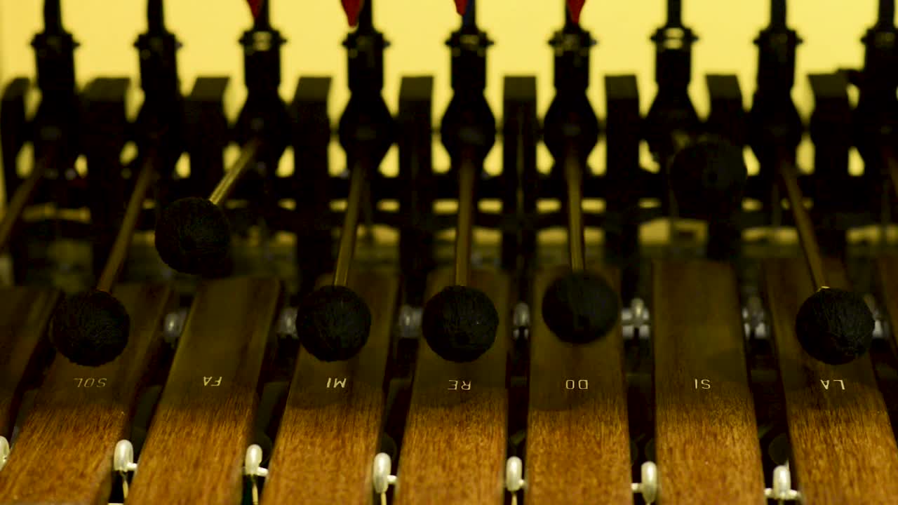 Meccanismo di carillon, video, vista dall'alto