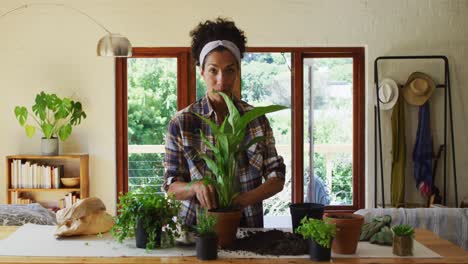 Mujer-De-Raza-Mixta-Trasplantando-Plantas-En-Maceta-En-Casa