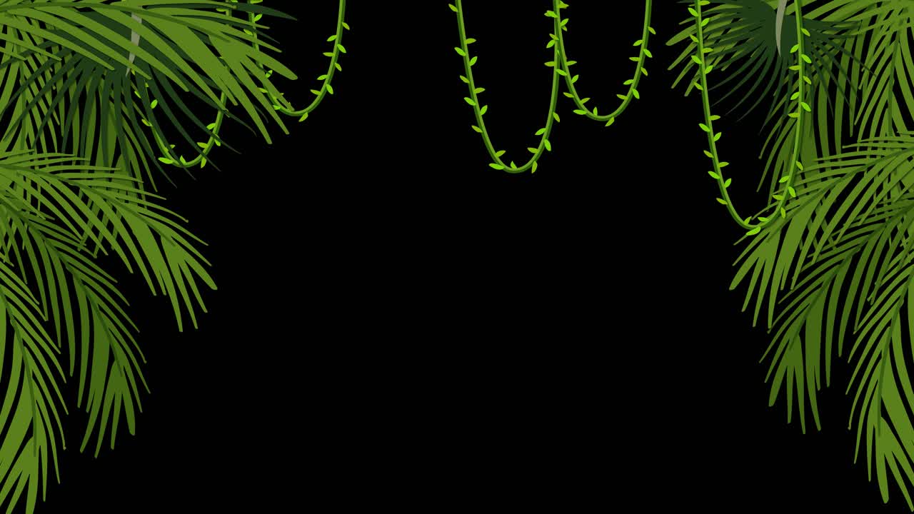 animación simétrica de las hojas de palma tropical