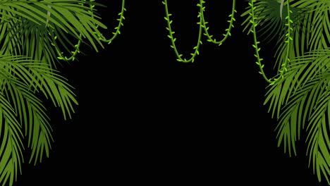 symmetrical animation of tropical palm leaves