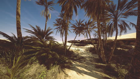 serene oasis with swaying palm trees under a bright blue sky