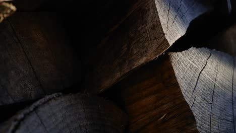 stack of firewood close-up shot moving from left to right