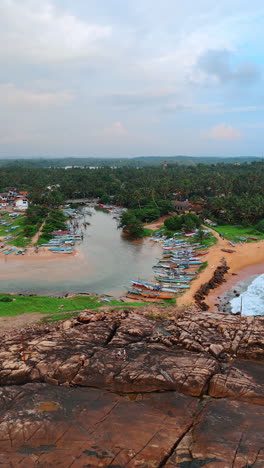 multiple kayaks stand at the banks of the river. palm trees surround the waterscape. drone rises above the scenery of sri lanka. vertical video.
