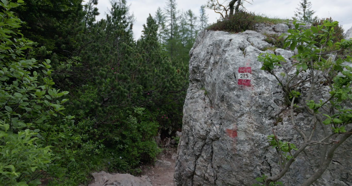 Kapea vuoristovaellusreitti reittiä 215 pitkin, joka johtaa Lago di Sorapis -järvelle Dolomiiteilla, Venetossa, Italiassa. Staattinen kuva.
