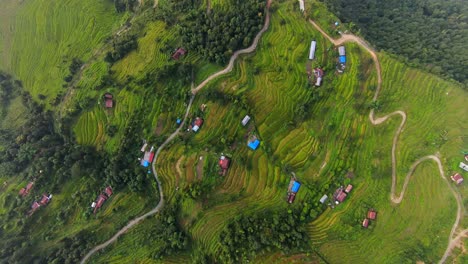 espectacular vista aérea de arriba hacia abajo panorámica cinematográfica de carreteras sinuosas y campos nepaleses en terrazas en el campo