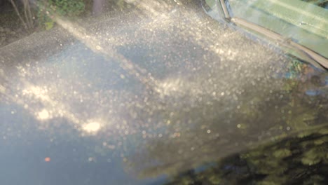 washing the front bumper of the car with a hose