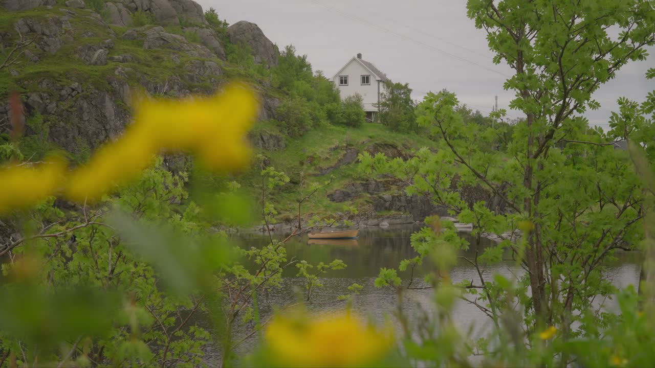 vista panorámica de una casa blanca en una colina por el lago agavatnet en lofoten con flores amarillas en primer plano