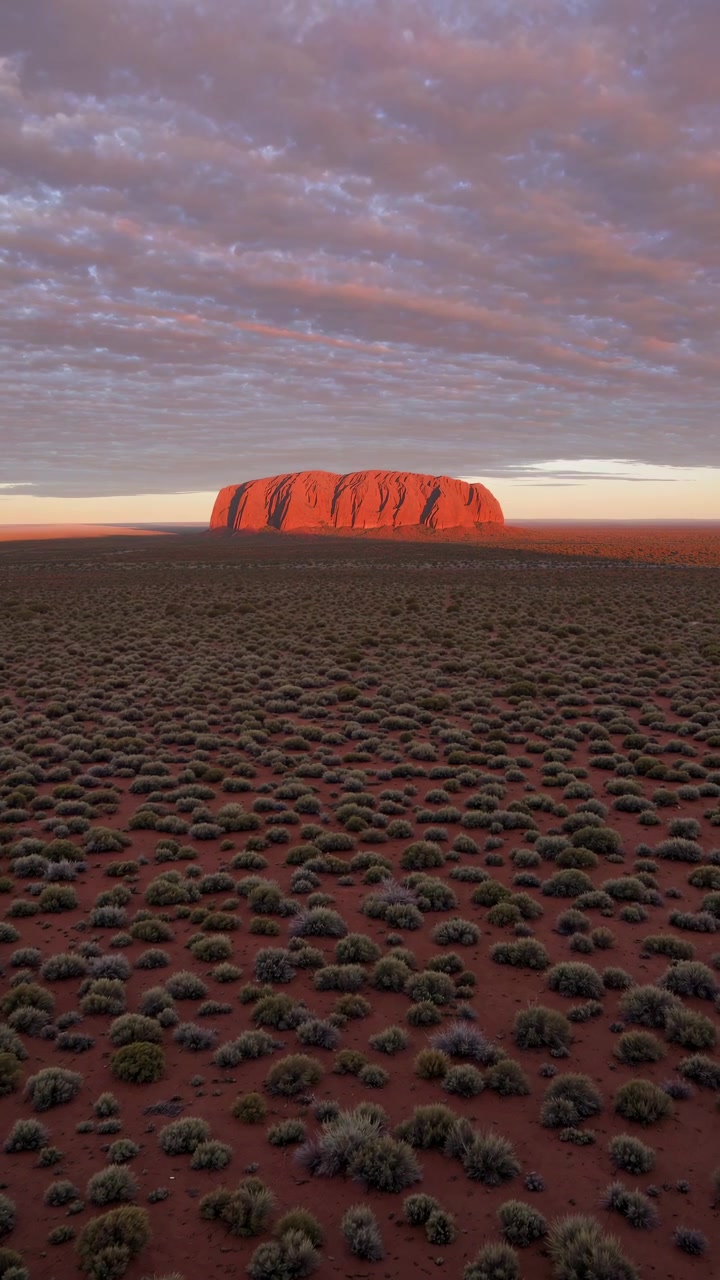 Majestueux monolithe d'Uluru dans le désert australien au lever du soleil