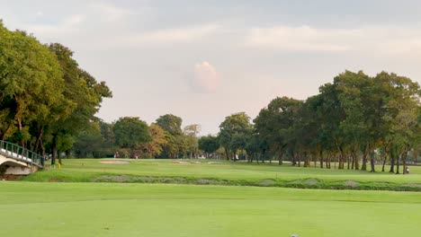 lush green golf course with surrounding trees