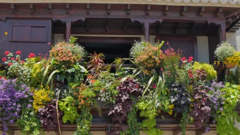 a shot of a balcony plenty of flowers in la palma island, spain