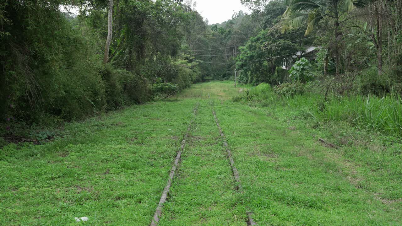 Overgrown disused railway track in a lush forested area rural reclaimed by nature