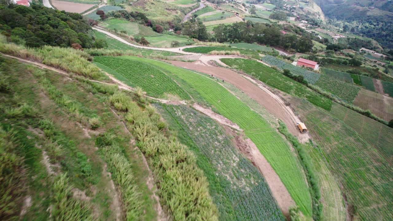 Green terraced fields with winding roads and rural landscape from an aerial view